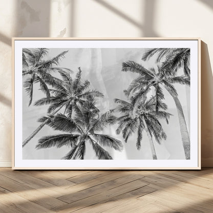 Black and white tropical palm trees viewed from below, swaying gently against a bright sky, creating a serene and elegant coastal atmosphere.