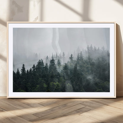 A misty evergreen forest shrouded in soft fog, creating a tranquil and moody landscape with lush green trees fading into the distance.