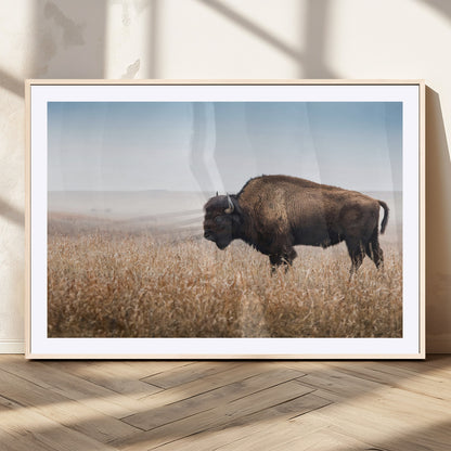 A majestic bison standing in an open prairie field, its strong form blending into the golden grass under a vast blue sky, evoking the wild spirit of the American plains.
