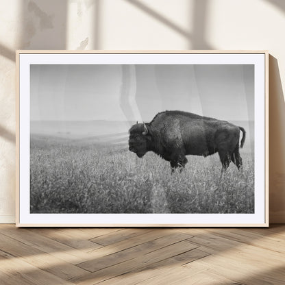 A black and white photograph of a majestic bison standing in a vast grassy prairie, evoking a sense of wilderness and strength.