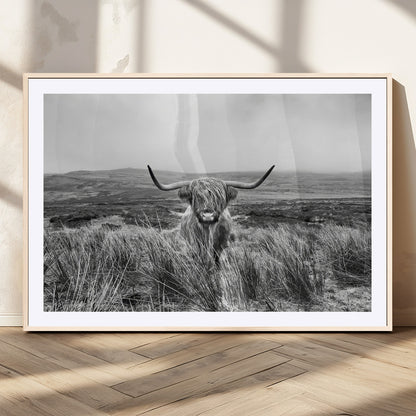 A black and white portrait of a Highland cow in a foggy Scottish countryside, capturing a rustic aesthetic and tranquil farm escape.