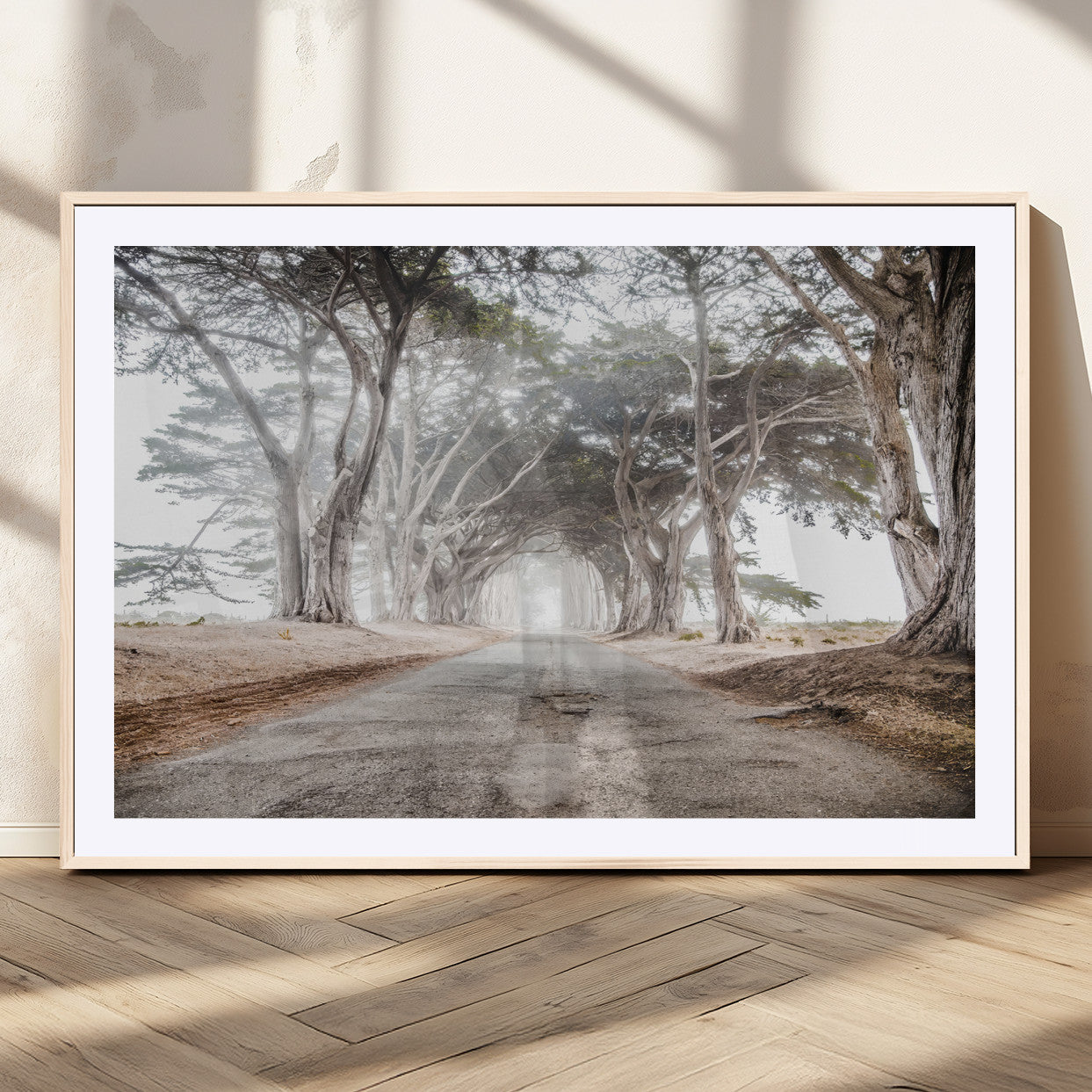 Canvas of a misty tree tunnel with arching cypress trees and an earthy road, ideal for rustic or coastal nature decor.
