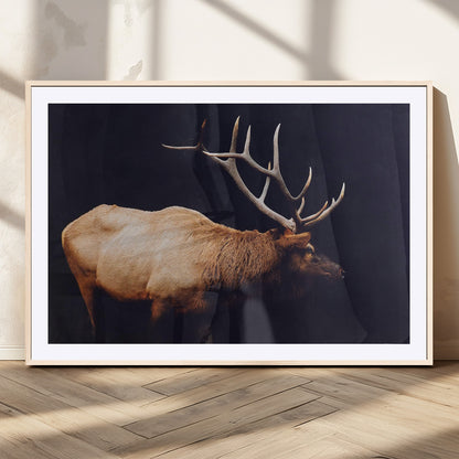 Side profile of an elk with large antlers on dark background, creating a bold rustic statement for cabin or Western-themed decor.
