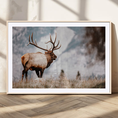 Majestic elk with large antlers standing in grass with snowy mountains in background, perfect for rustic cabin or lodge style decor.