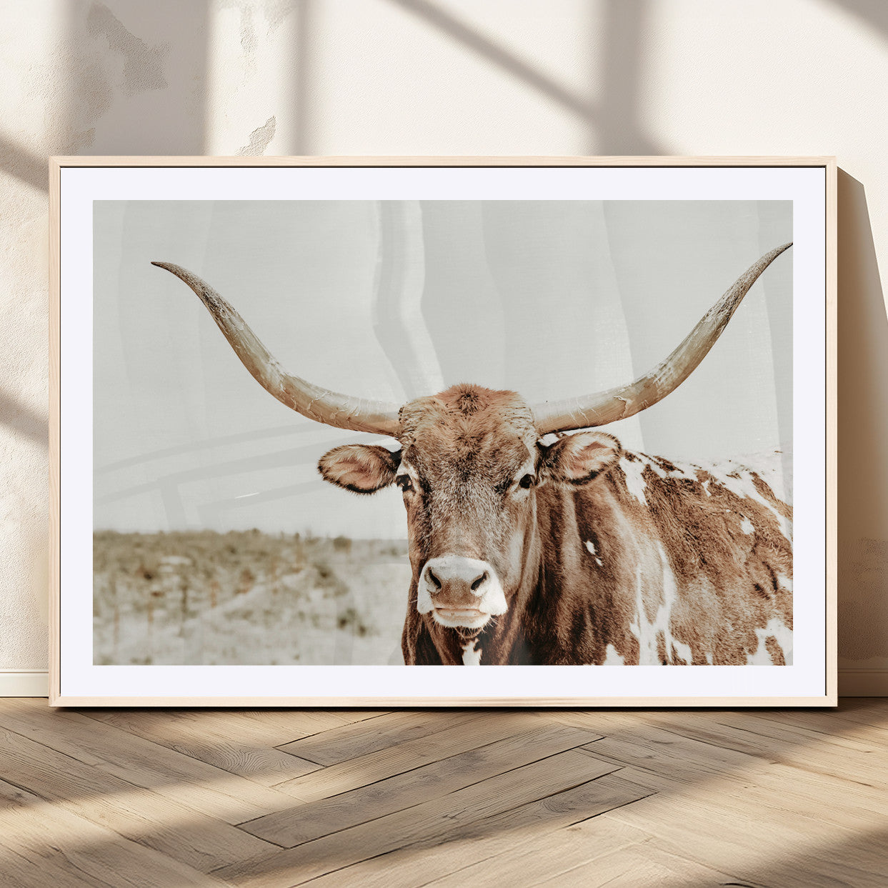 A Texas longhorn bull with wide horns, standing in a dry field under soft light, ideal for rustic farmhouse or western-themed interiors.