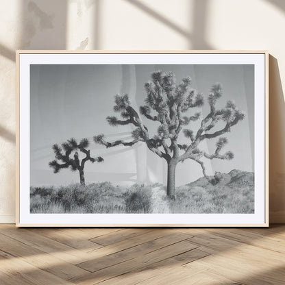 Black and white Joshua tree in a desert landscape with soft light and dry brush, perfect for rustic or minimalist home decor.