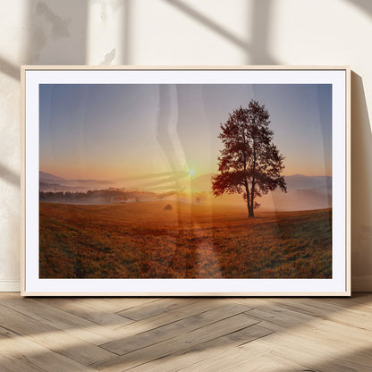 A tranquil landscape at sunrise with a mist-covered field and a lone tree, creating a peaceful and natural atmosphere.