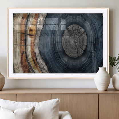 A stunning close-up of a tree trunk showing the intricate, circular growth rings, showcasing the natural textures and rich contrasts in deep blues, browns, and silvers.