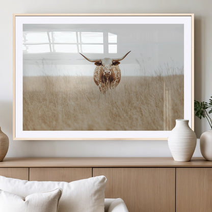 Texas Longhorn bull standing alone in dry grass with neutral tones, ideal for rustic western or cowboy-themed wall decor.