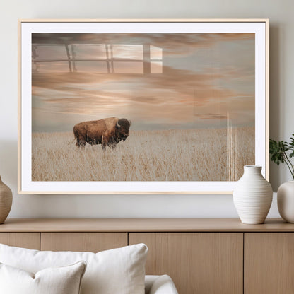 Bison Wall Art Print - Buffalo Canvas Print, featuring a lone bison in a golden prairie under a warm sunset sky, perfect for rustic and farmhouse decor.