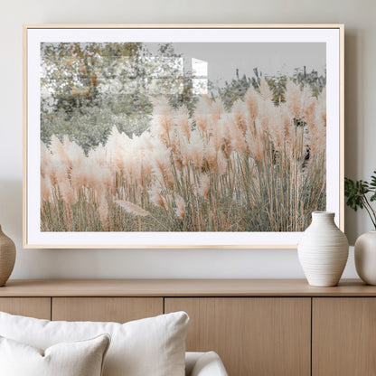 Soft pastel pampas grasses in a natural setting, ideal for neutral boho or rustic botanical-style interior wall decoration.