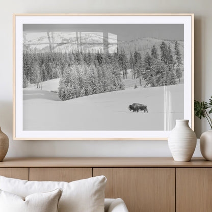 Snowy bison walking through white forest landscape, ideal for monochrome winter or wilderness-style interior wall decoration.