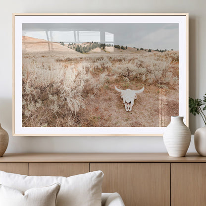 Rustic bull skull on dry sagebrush field under soft light, ideal for western minimal or desert prairie-style wall decoration.