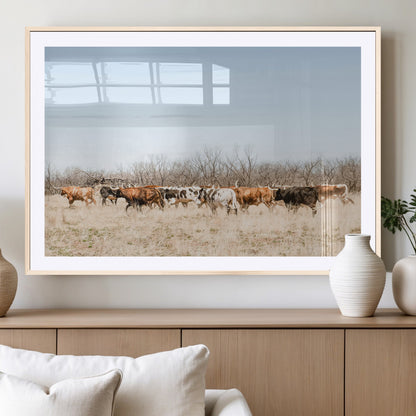 Framed wall art of Texas longhorn cattle walking through a dry, neutral-toned prairie, perfect for rustic farmhouse or western-themed home decor.