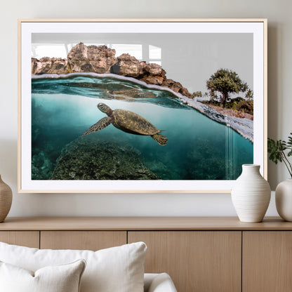 Dynamic split-view photo of a sea turtle swimming near rocky shores, perfect for vibrant coastal or tropical beach home decor.