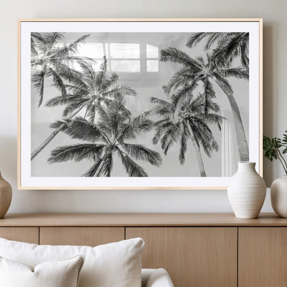 Black and white tropical palm trees viewed from below, swaying gently against a bright sky, creating a serene and elegant coastal atmosphere.