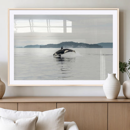 An orca jumping out of calm ocean waters with a misty island in the background, creating a serene and minimalist marine wildlife scene.