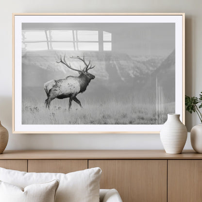 Black and white photograph of a majestic elk standing in a grassy field with snow-capped mountains in the background, creating a bold and rustic wilderness scene.