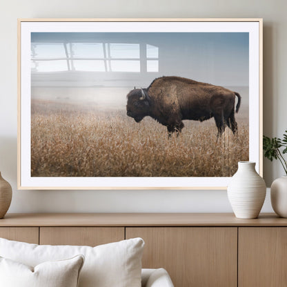 A majestic bison standing in an open prairie field, its strong form blending into the golden grass under a vast blue sky, evoking the wild spirit of the American plains.