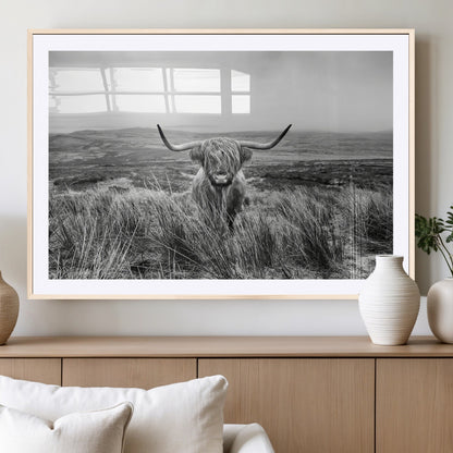 A black and white portrait of a Highland cow in a foggy Scottish countryside, capturing a rustic aesthetic and tranquil farm escape.