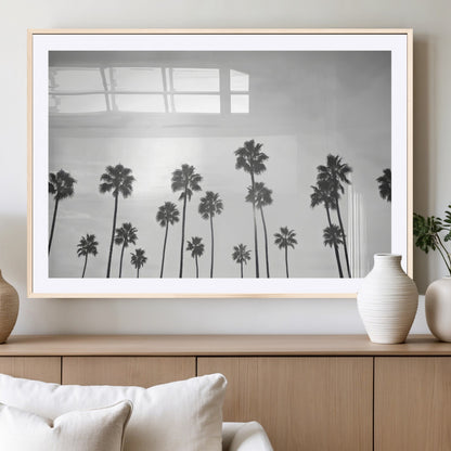 A black and white minimalist scene featuring tall palm trees silhouetted against a bright sky, creating a dreamy and timeless tropical aesthetic.