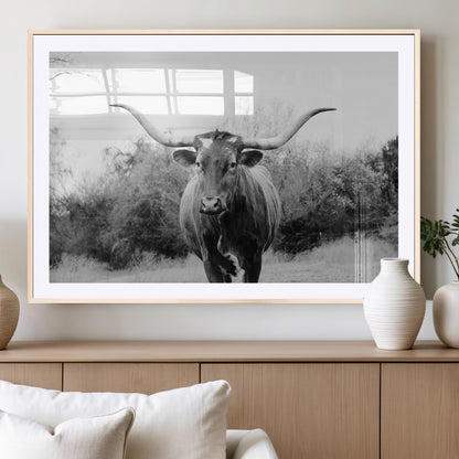 Black and white photo of a longhorn cow in a field, perfect for rustic farmhouse or western-themed interior wall decoration.
