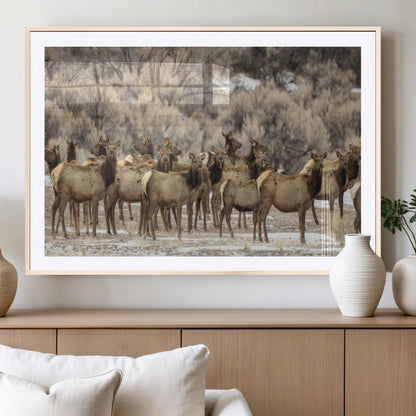A large herd of elk standing in an open field with soft earthy tones, ideal for rustic lodge or western-themed home wall decor.