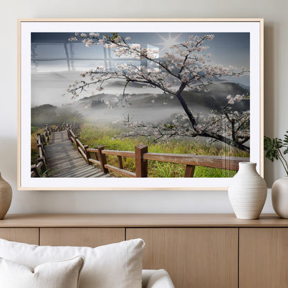 Sakura Cherry Blossom Pathway Canvas Wall Art – Tranquil Walk Through Blossoming Nature – Ready to Hang