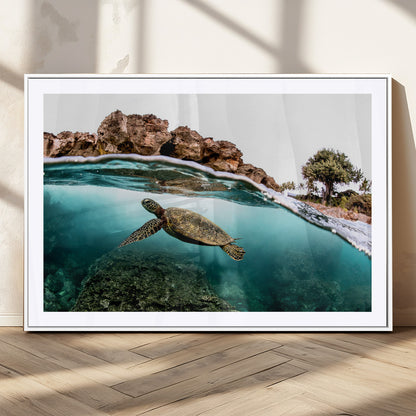 Dynamic split-view photo of a sea turtle swimming near rocky shores, perfect for vibrant coastal or tropical beach home decor.