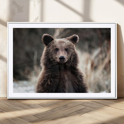 Canvas of a brown bear in soft earthy tones and moody forest light, ideal for rustic cabin or woodland nature-themed home decor.
