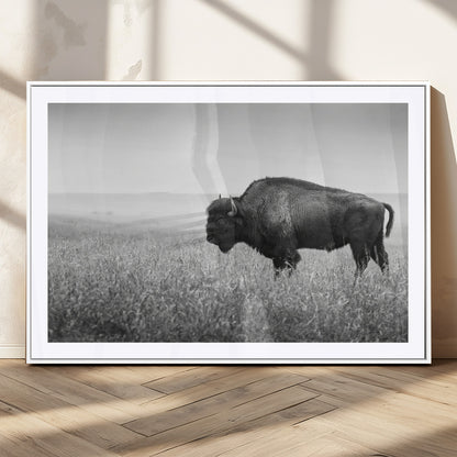 A black and white photograph of a majestic bison standing in a vast grassy prairie, evoking a sense of wilderness and strength.