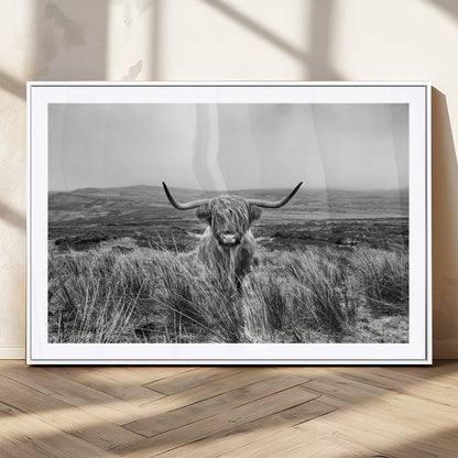 A black and white portrait of a Highland cow in a foggy Scottish countryside, capturing a rustic aesthetic and tranquil farm escape.