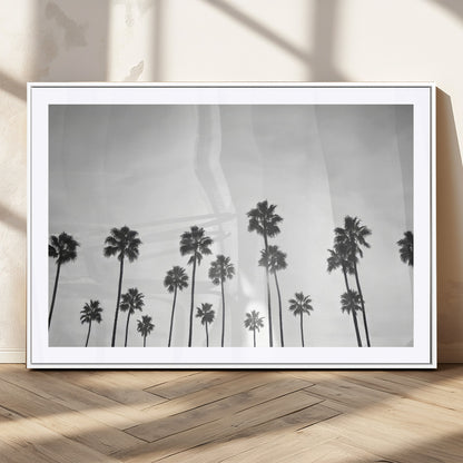 A black and white minimalist scene featuring tall palm trees silhouetted against a bright sky, creating a dreamy and timeless tropical aesthetic.