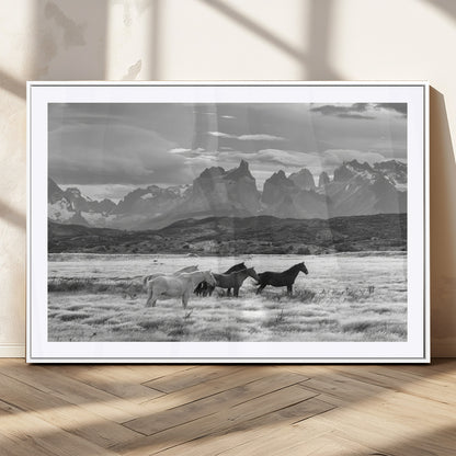 A black and white landscape of wild horses grazing in a vast grassland with towering mountains in the background, creating a moody and rustic western aesthetic.