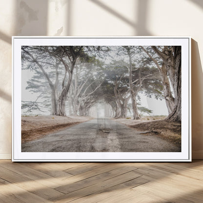 Canvas of a misty tree tunnel with arching cypress trees and an earthy road, ideal for rustic or coastal nature decor.