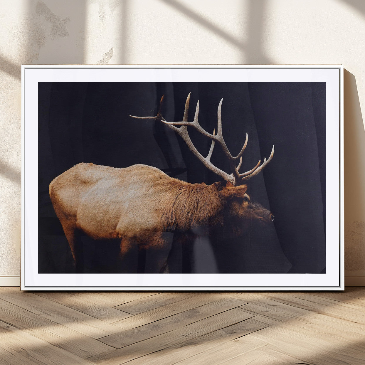Side profile of an elk with large antlers on dark background, creating a bold rustic statement for cabin or Western-themed decor.