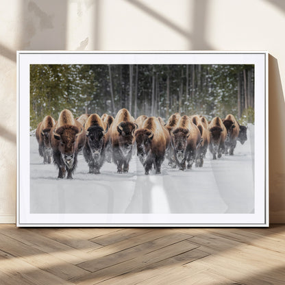A herd of American bisons walking through a snowy forest path, perfect for rustic cabin or Western-themed wall decor.