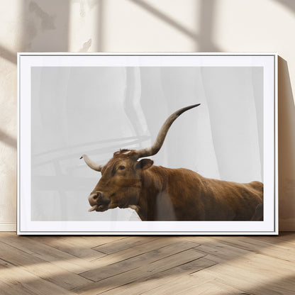 Minimal photo of a longhorn cow with white background, ideal for rustic, western or farmhouse-style interior decor.