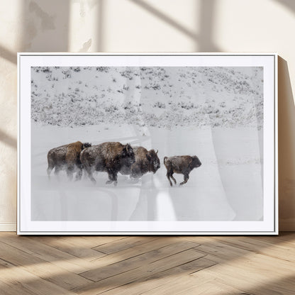 Bison herd running through a snowy open field with mountain backdrop, perfect for rustic or western-themed wall decoration.