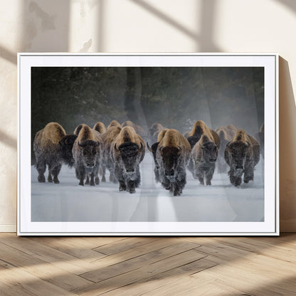 A herd of American bisons walking through deep snow in a forest, evoking a powerful rustic wilderness mood for western-style interiors.