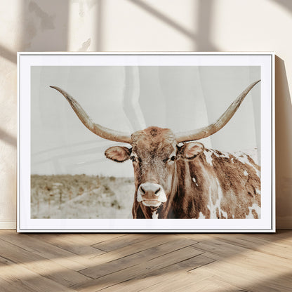 A Texas longhorn bull with wide horns, standing in a dry field under soft light, ideal for rustic farmhouse or western-themed interiors.