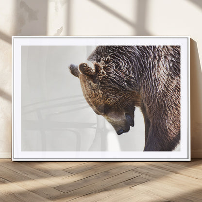 Majestic Bear Portrait - Capture the raw beauty of a bear in a detailed close-up, perfect for your Wall Art Canvas Print collection