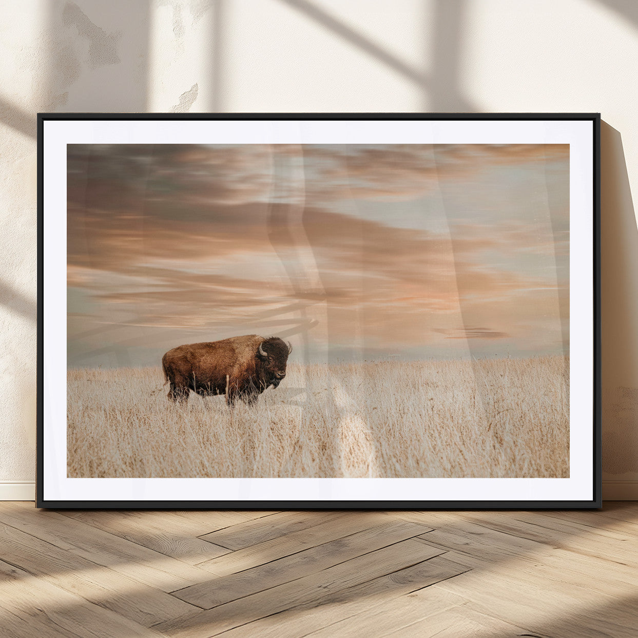 Bison Wall Art Print - Buffalo Canvas Print, featuring a lone bison in a golden prairie under a warm sunset sky, perfect for rustic and farmhouse decor.