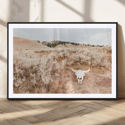 Rustic bull skull on dry sagebrush field under soft light, ideal for western minimal or desert prairie-style wall decoration.
