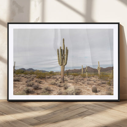 Canvas of a saguaro cactus in an earthy Sonoran desert landscape, ideal for Southwestern Boho or desert minimalism inspired home decor.   2/2
