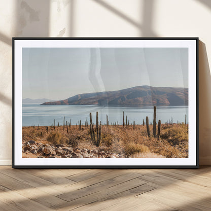 Warm desert landscape with cacti and coastal mountains, perfect for southwestern or earthy calm-themed home wall decor.