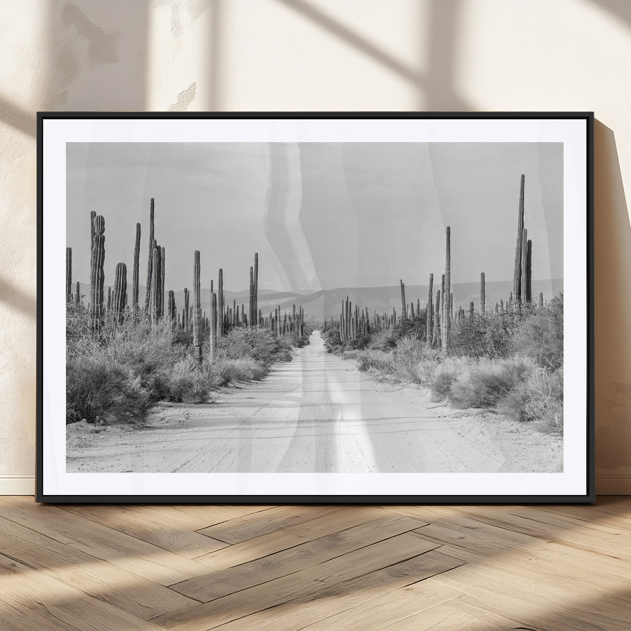 A black and white desert road stretching through a cactus-filled landscape, creating a rugged and timeless southwestern aesthetic with a sense of adventure.