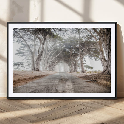Canvas of a misty tree tunnel with arching cypress trees and an earthy road, ideal for rustic or coastal nature decor.