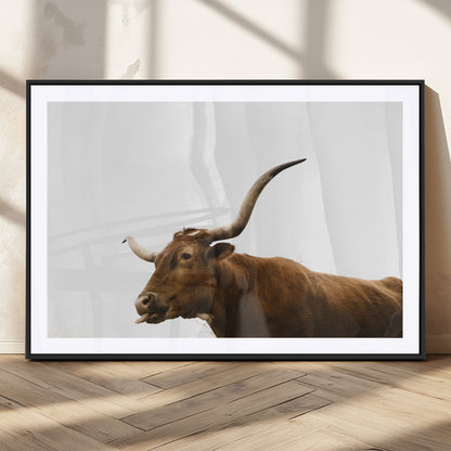 Minimal photo of a longhorn cow with white background, ideal for rustic, western or farmhouse-style interior decor.