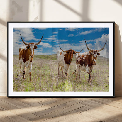 Three Texas longhorn cattle standing in dry grass under a bright blue sky, ideal for farmhouse or western rustic home decor.